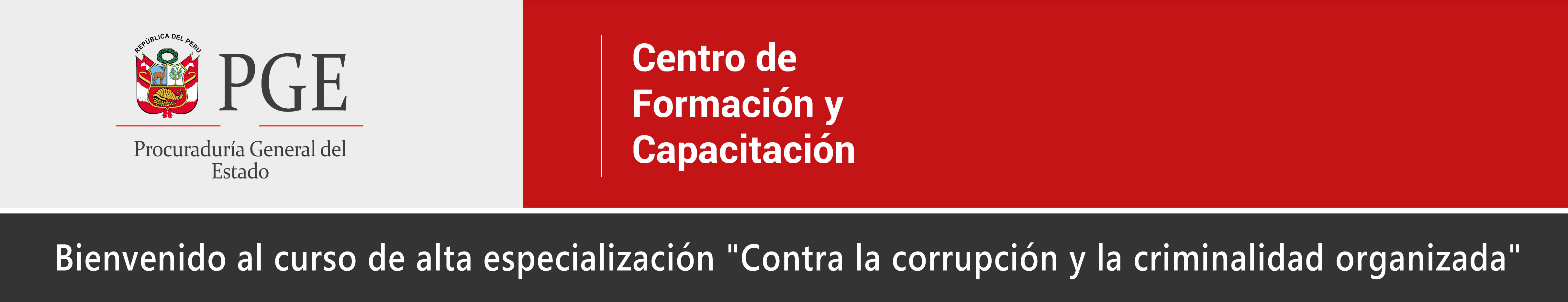 Curso de especialización contra la corrupción y la criminalidad organizada